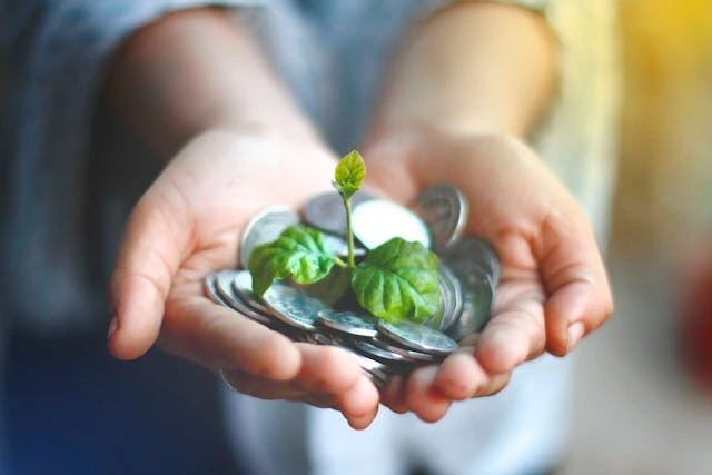 des pièces dans des mains et une plante dedans