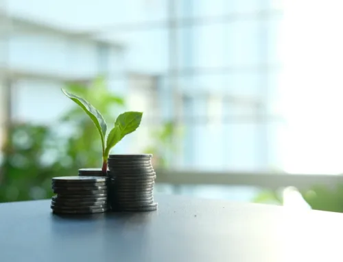 Finance verte : effet de mode ou nouvelle norme durable pour les entreprises françaises ?