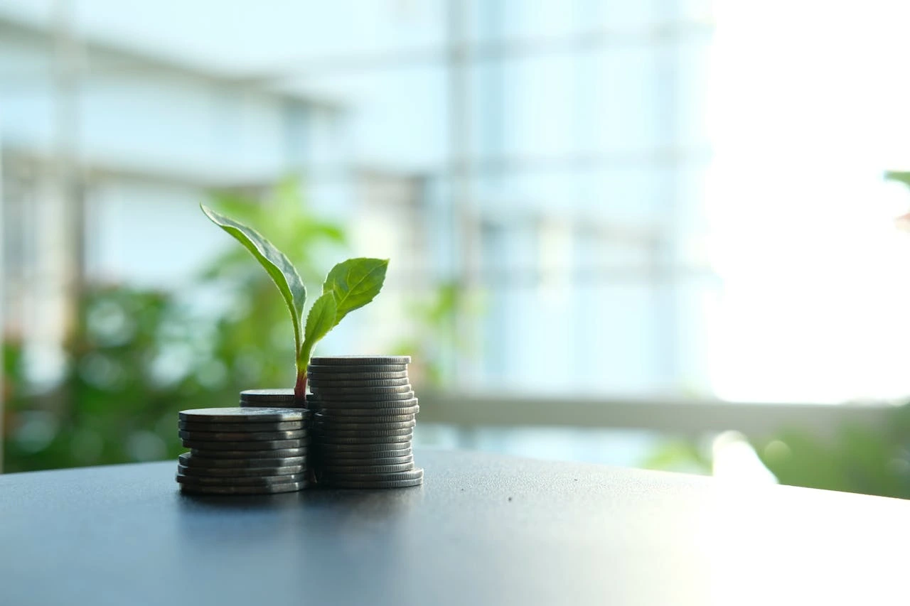 Finance verte : effet de mode ou nouvelle norme durable pour les entreprises françaises ?