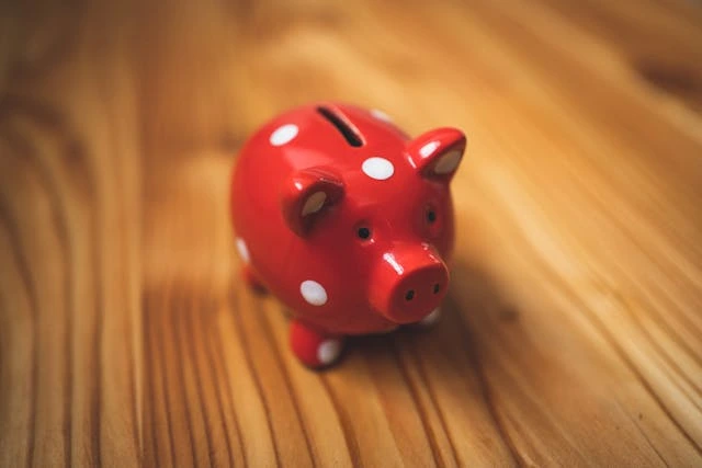 un cochon tirelire