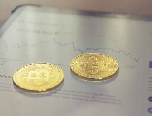 Qu&rsquo;est-ce qui explique la volatilité du bitcoin ?